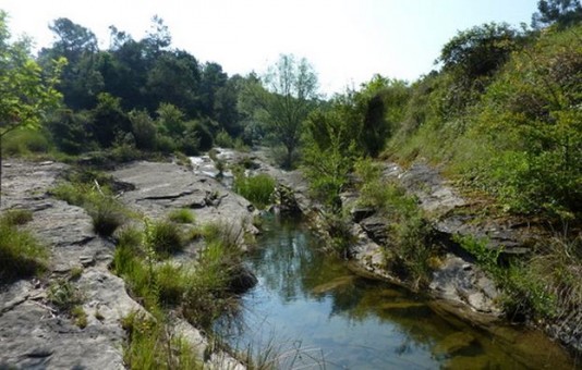 CAMINS DE SENDERISME PER TALAMANCA