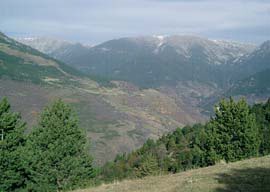Camí dels Socarrats i del Beduis