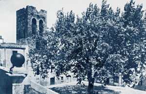 Arbre de la Llibertat