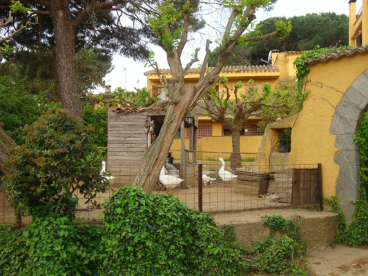 RESTAURANT CAN BRUGUERA