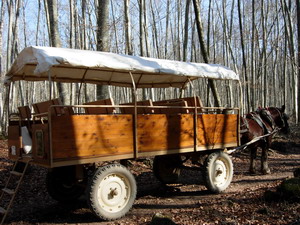 LA FAGEDA D'EN JORDÀ