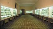 Museu Mollfulleda de Mineralogia