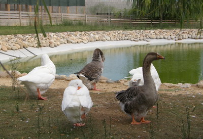 PARC D'AUS