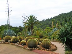 Jardí Botànic Tropical
