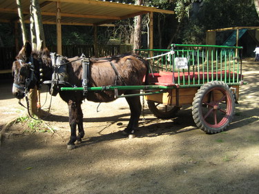 RUCS DEL FAR