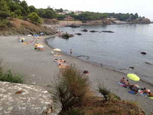 Font d’en Falcó